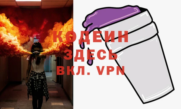 шишки Арсеньев