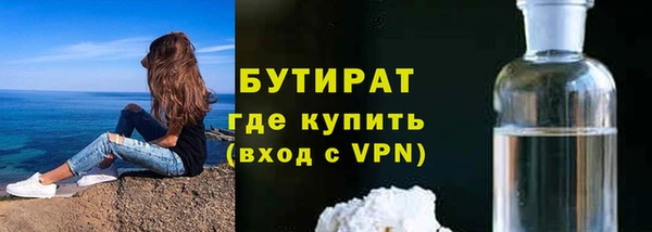 шишки Арсеньев