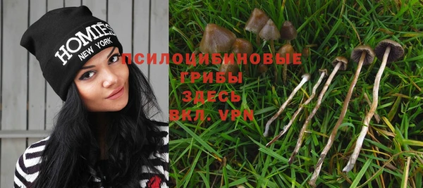 PSILOCYBIN Армянск