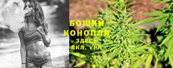 PSILOCYBIN Армянск